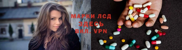 ГАЛЛЮЦИНОГЕННЫЕ ГРИБЫ Краснотурьинск