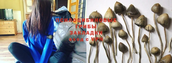молекула духа Красноперекопск