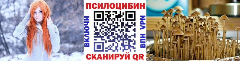 Галлюциногенные грибы мицелий Кандалакша