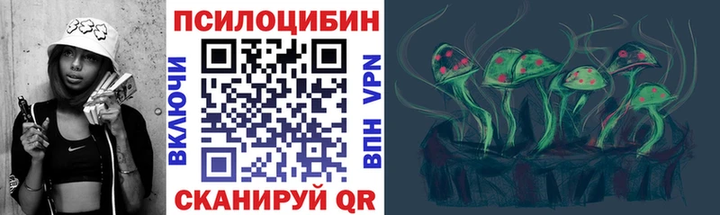 Купить  Кандалакша  Псилоцибиновые грибы Psilocybine cubensis 